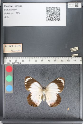 Media type: image;   Entomology 130416